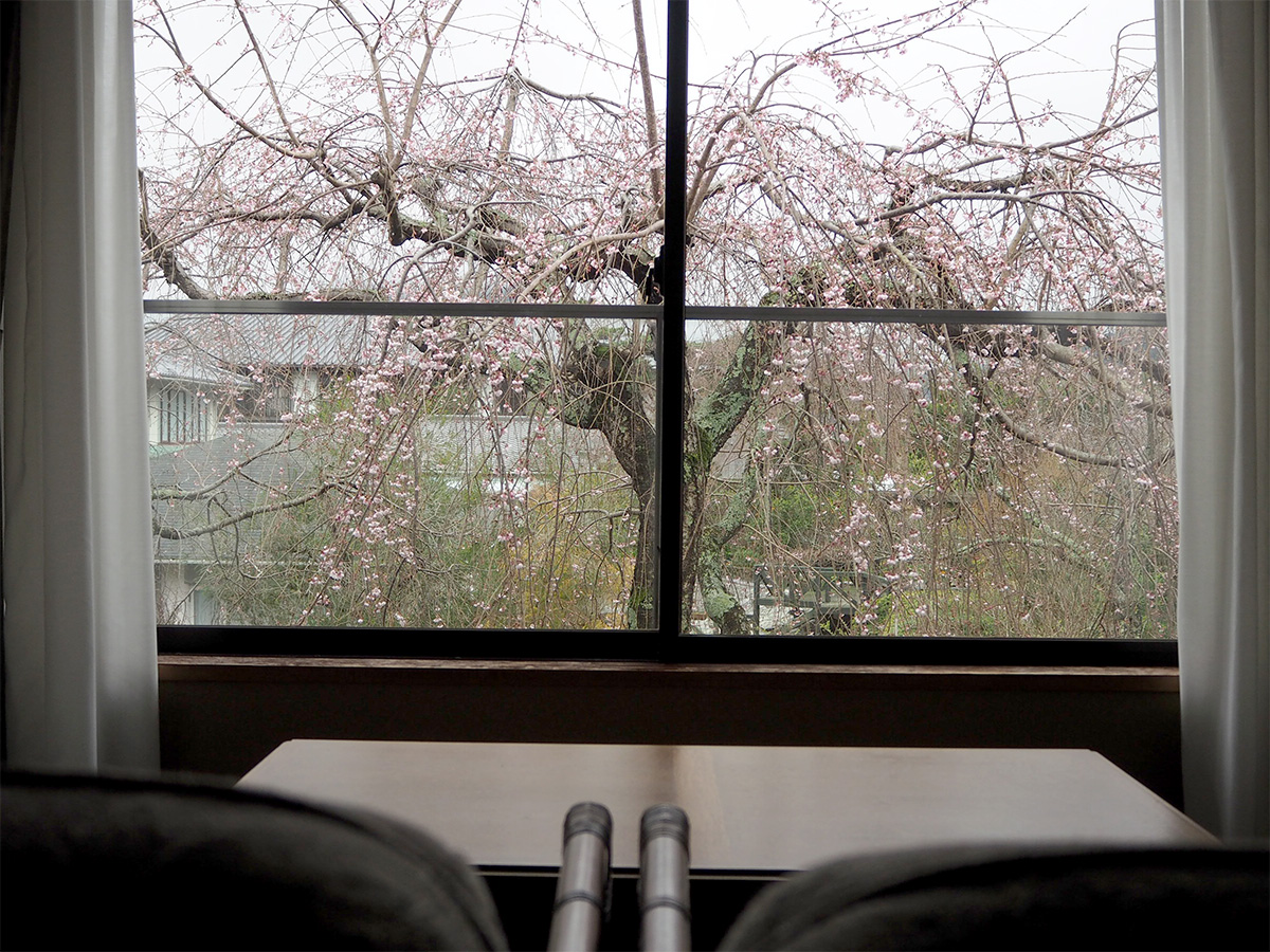 客室より桜